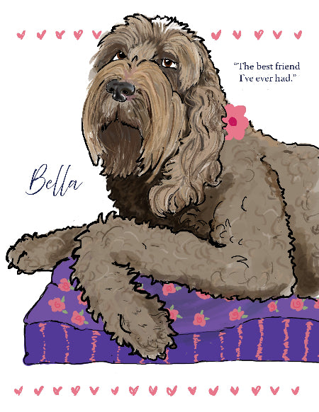 Pet Portrait